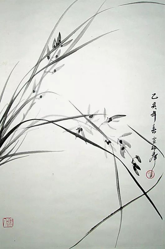 如何画兰花图片大全大图,怎么样画兰花才能好看