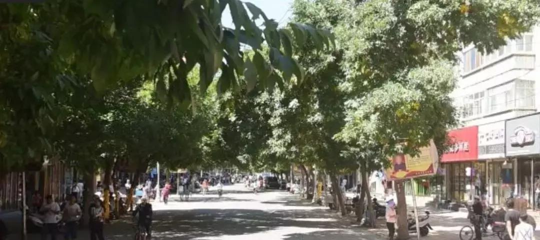 吴忠必吃十大美食,宁夏吴忠特色美食