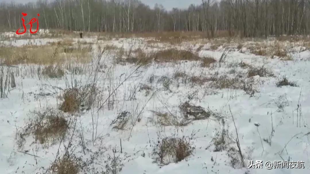 11人的足球场有分大小的吗,十一人场标准足球场有多大