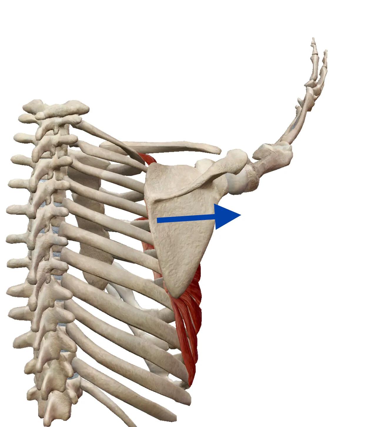 因为受风引起颈椎病眩晕喝什么药,颈椎病引起眩晕怎么办