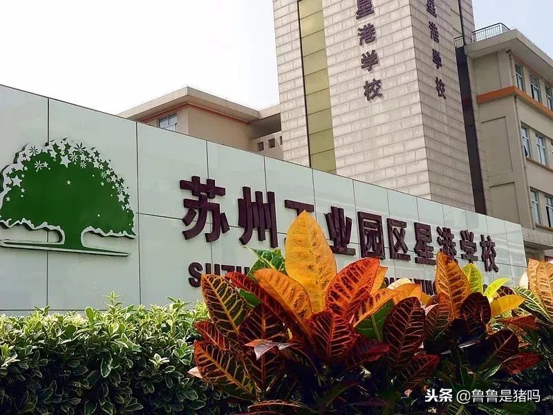 苏州有哪些五年一贯制学校,苏州园区九年一贯制学校排名