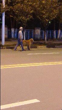 可爱搞笑图片可直接保存,搞笑图片现在的年轻妹纸真会玩啊