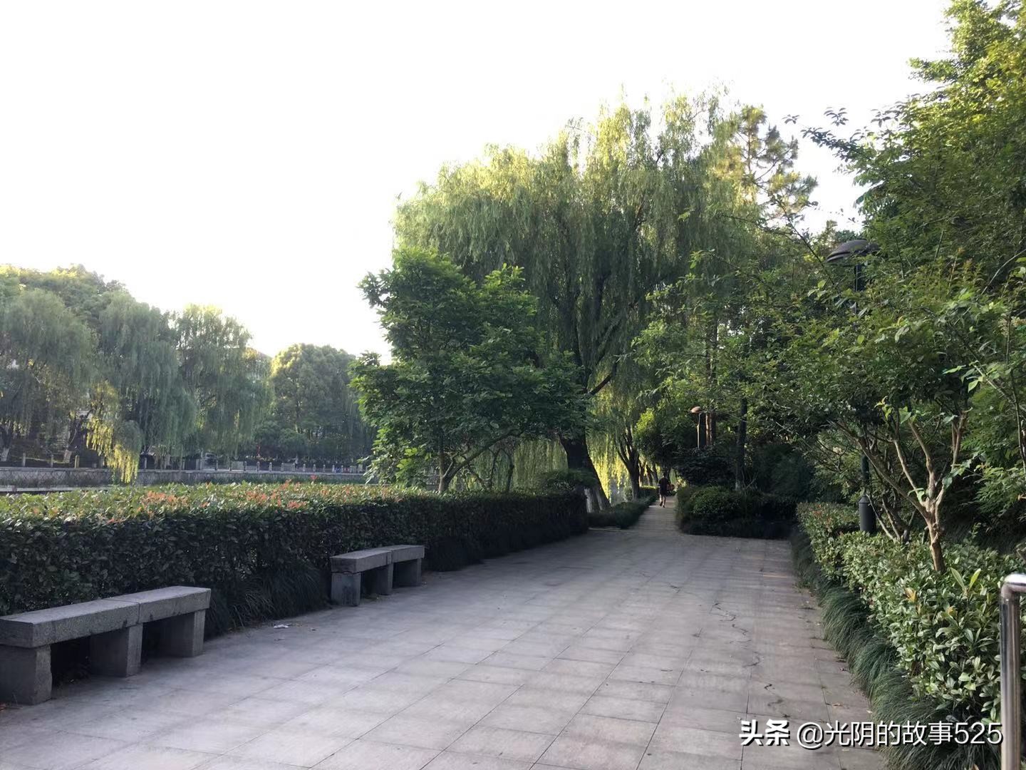 挑战3天苹果餐断食减肥,7天断食瘦12斤一日三餐