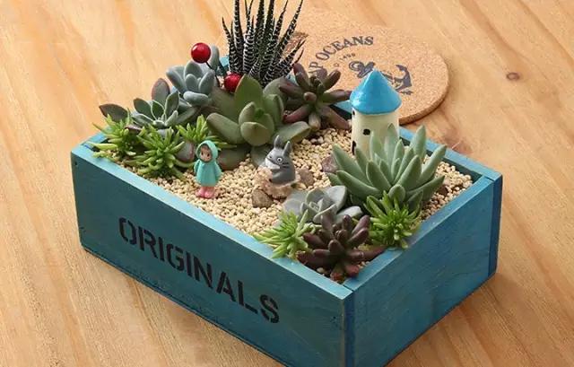 家里花瓶插花放点什么,创意养花花瓶