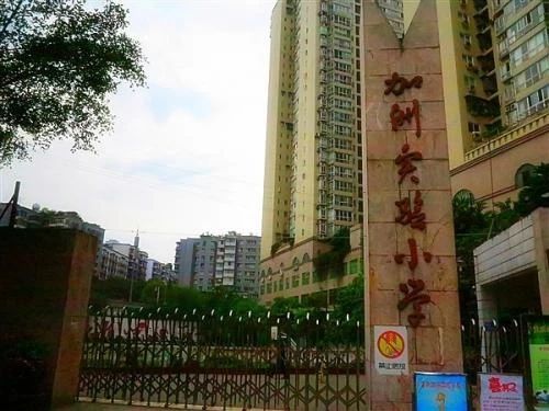 重庆小学费用到底多少钱,重庆的小学凭什么这么贵