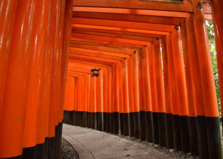 无论哪里都是朱红色鸟居的“祈愿的参道”！带你寻访伏见稻荷大社
