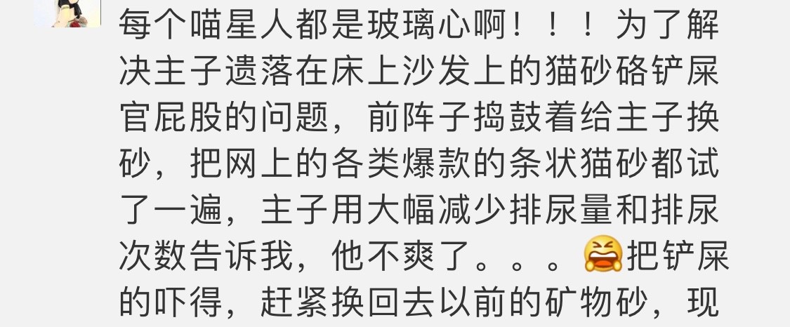 猫咪可以缓解焦虑抑郁吗,猫也会焦虑型依恋吗