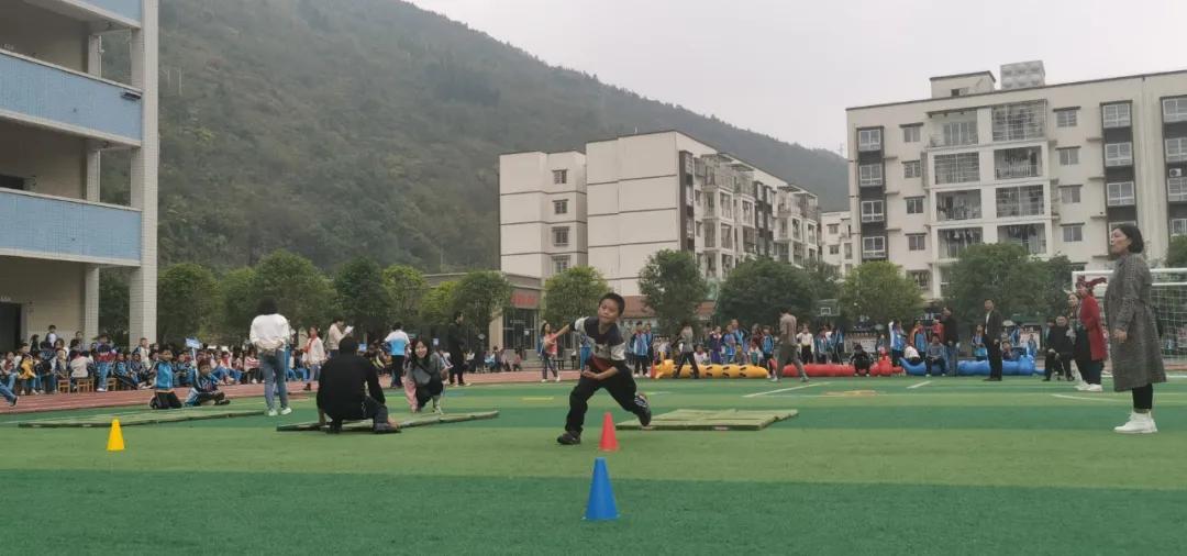 向日葵、比卡丘,嗨翻桐梓这些学校