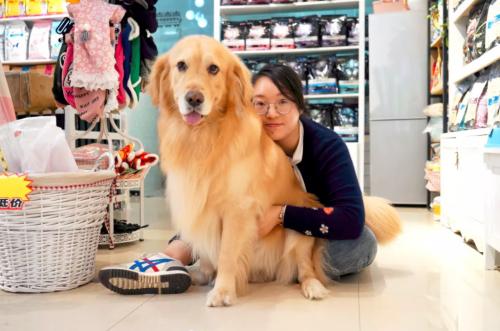 开宠物店的心酸经历 (新手开宠物店的实际经历)