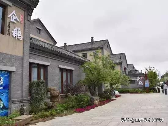 自驾游山东日照网红打卡旅游攻略,东夷花仙子美景