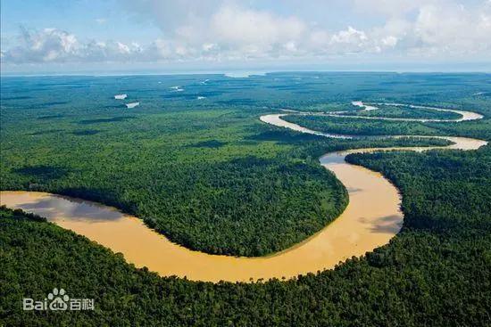 进口燕窝大盏一般在哪里买,燕窝知识横屏