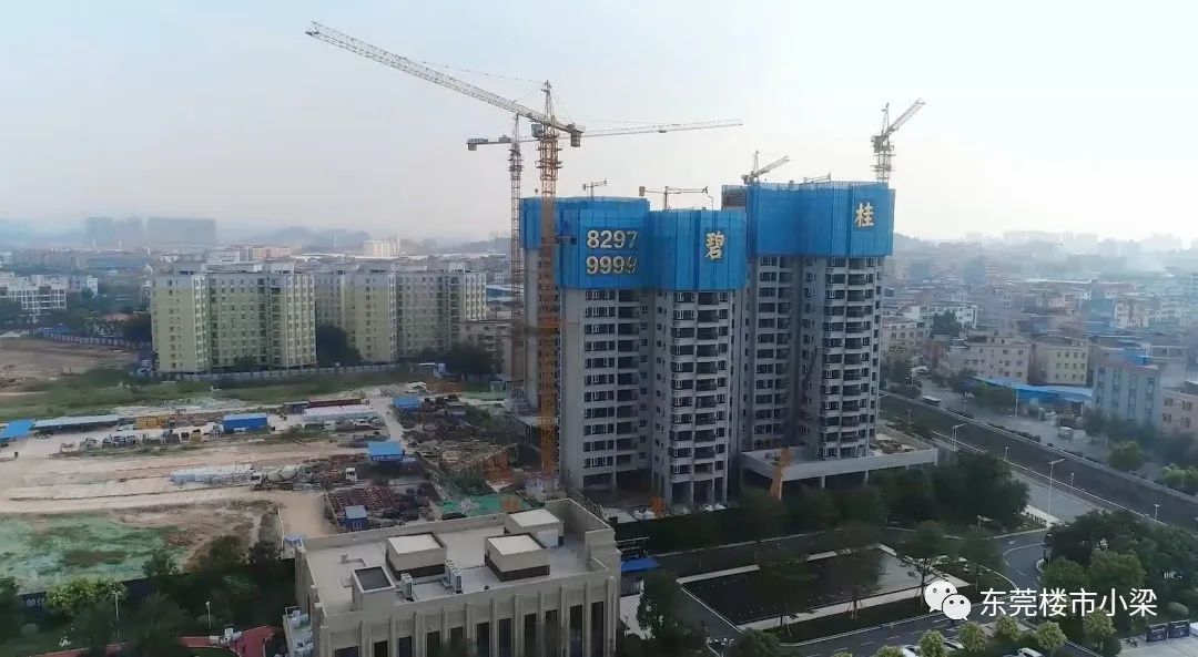 疫情后楼盘首开,东莞碧桂园玫瑰臻园户型图