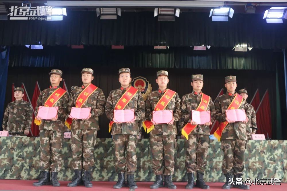 枪王还有几场复出,枪王有多少段