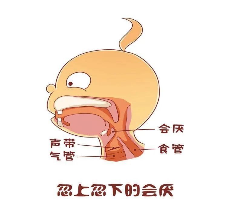 什么样的运动不伤骨头——越练越伤，了解你的软骨