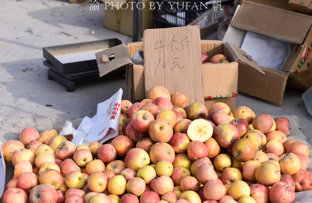 新巴扎新疆特产,新疆巴州博湖特产
