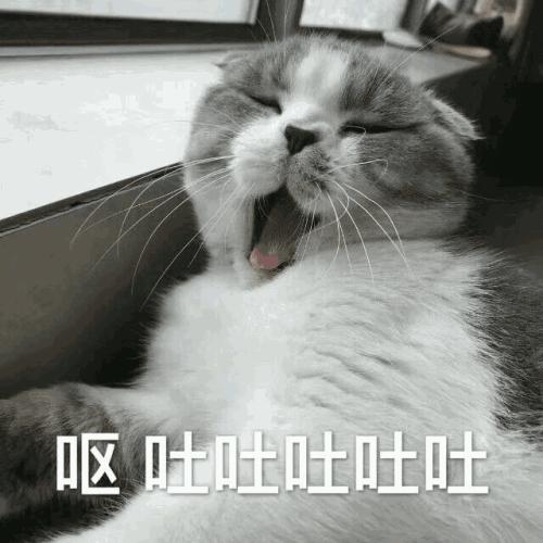 辟谣猫咪并非黑夜都能看得清,辟谣猫咪寄生虫