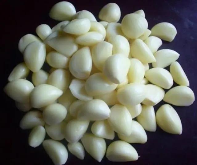 钓鱼知识黑坑配方,黑坑大蒜钓草鱼效果怎么样