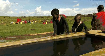 孩子暑期必看的50部神级纪录片,适合孩子和家长一起看的纪录片