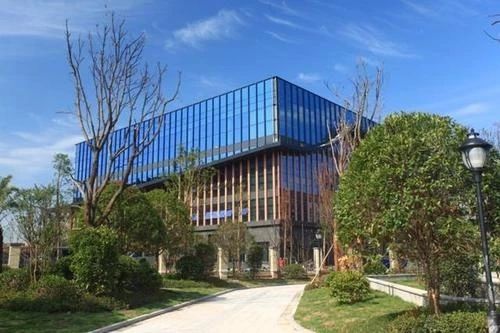 重庆小学学费多少钱一年,重庆小学费用一年多少钱