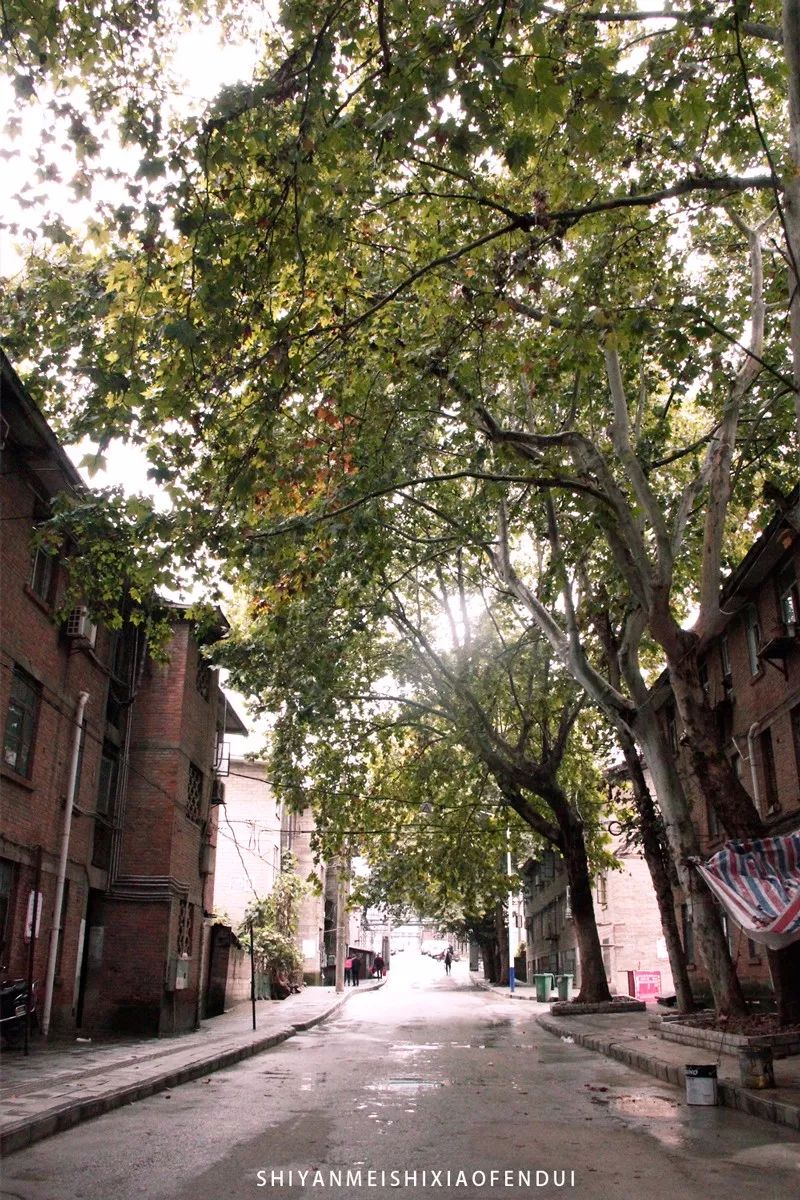 被生活打磨过的岁月,被生活捶打了50年才明白的道理