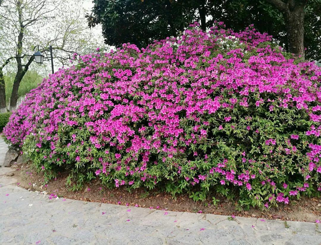 那些讨厌的清洁阿姨,遇到很讨厌的阿姨