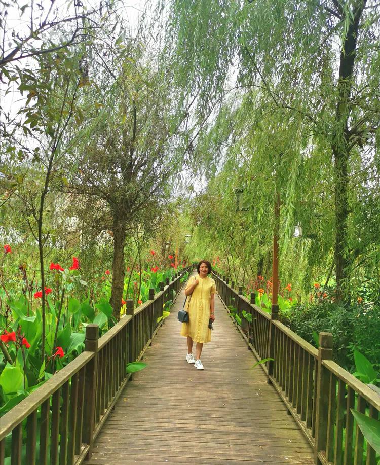 贵州蓬莱仙界旅游攻略,白云区蓬莱仙界景点介绍