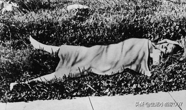 美国未解之谜山羊人,美国隐形人未解之谜