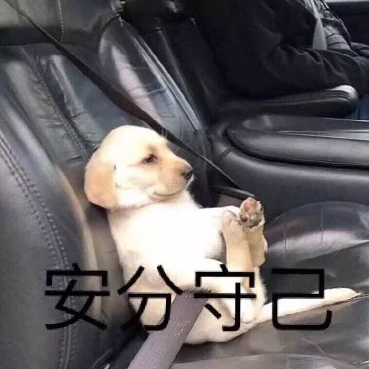 什么样才算纯种狗？纯种狗是怎么培育出来的？