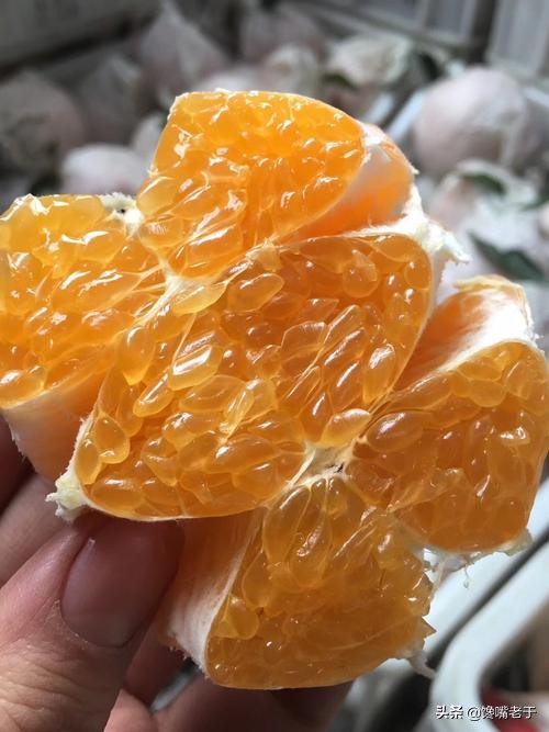 惊蛰当季水果蔬菜,惊蛰节气吃什么水果比较养生