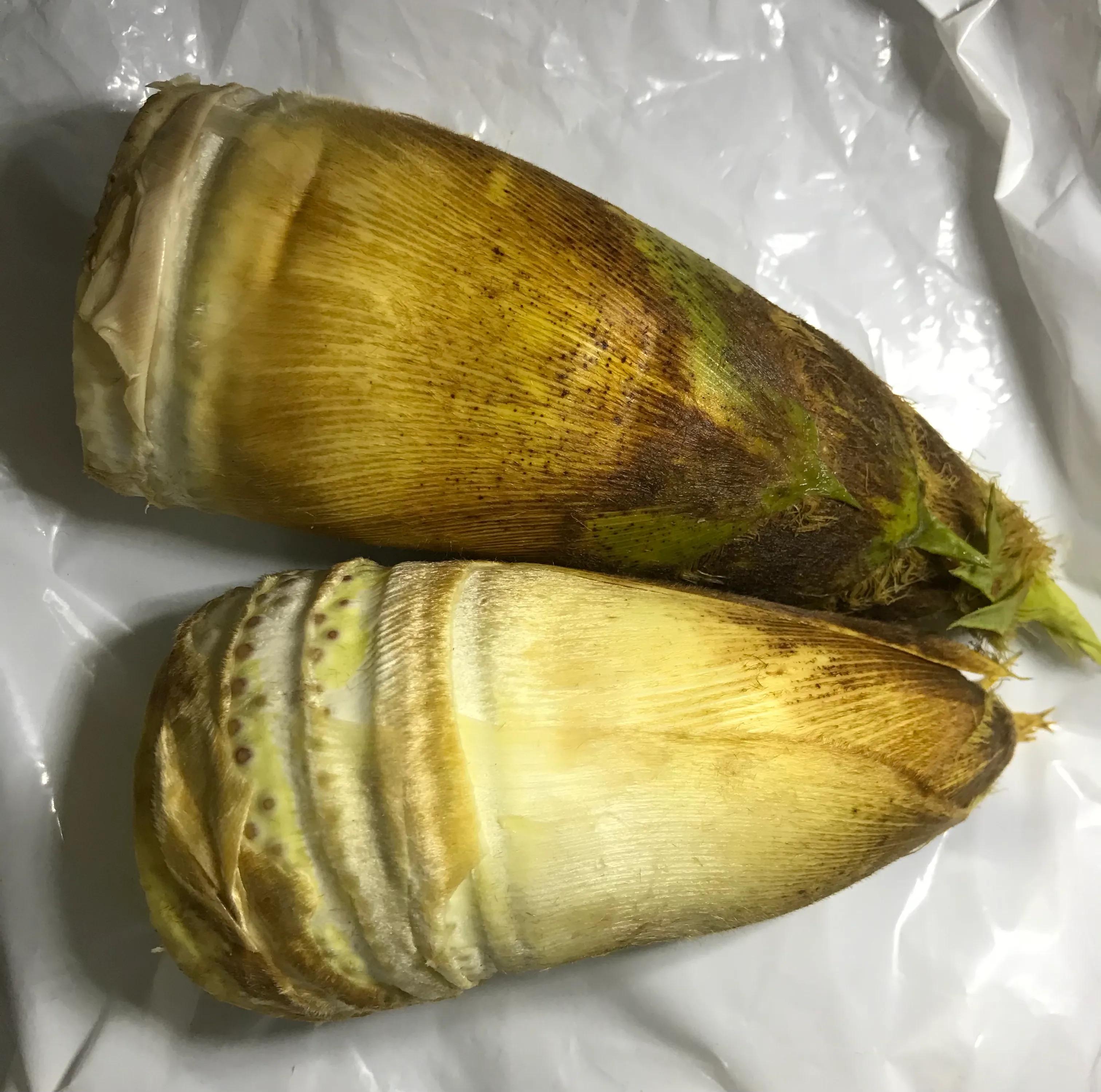 春笋炒肉有肉的浓香又有笋的清香,精致粤菜春笋炒肉