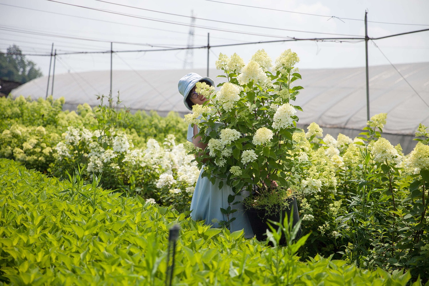 海蒂和噜噜的花园值得推荐吗,海蒂和噜噜的花园打卡