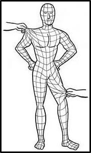 腰夹脊,腰夹脊疼痛位置图片