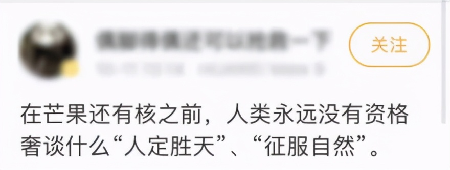 正宗四川攀枝花突尼斯软籽石榴,突尼斯软籽石榴四川攀枝花