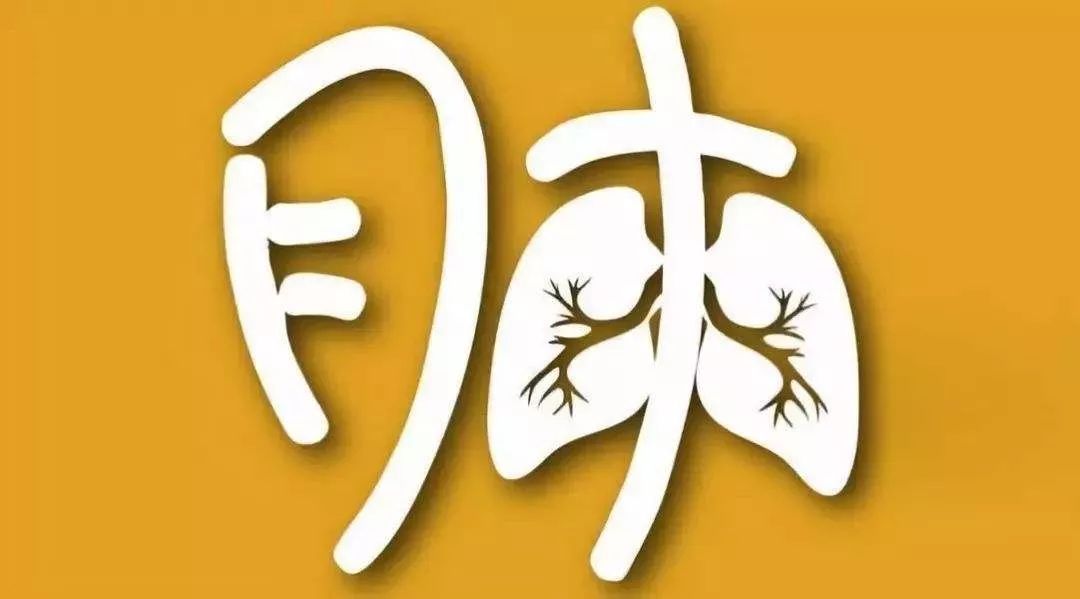 肠道菌群直接影响肠道健康,肠道菌群影响血糖吗