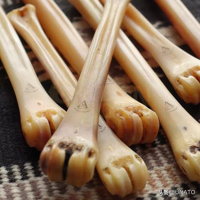 <html>
<head><title>502BadGateway</title></head>
<body>
<center><h1>502BadGateway</h1></center>
<hr><center>nginx</center>
</body>
</html>
<!--apaddingtodisableMSIEandChromefriendlyerrorpage-->
<!--apaddingtodisableMSIEandChromefriendlyerrorpage-->
<!--apaddingtodisableMSIEandChromefriendlyerrorpage-->
<!--apaddingtodisableMSIEandChromefriendlyerrorpage-->
<!--apaddingtodisableMSIEandChromefriendlyerrorpage-->
<!--apaddingtodisableMSIEandChromefriendlyerrorpage-->
