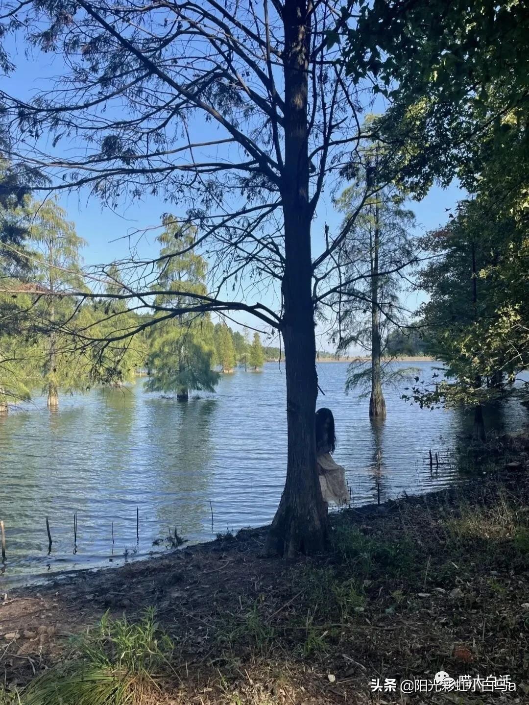 千万不要乱改群名,如何避免随便改群名