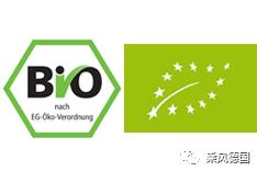 德国生活逛街日常,德国生活欧洲生活