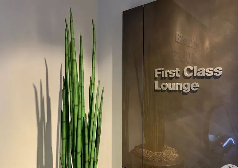 泰国航空787商务舱,疫情之下的海南航空