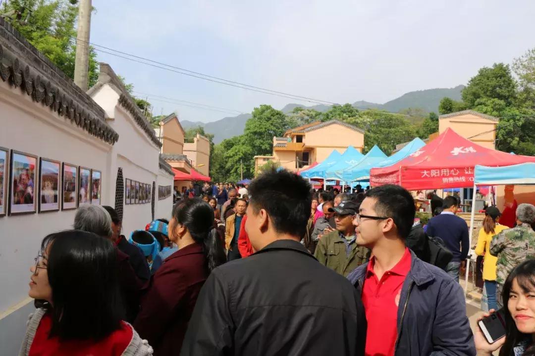 盛大招商丨十万宾朋齐聚安西田垅，百万商机闪现待握！