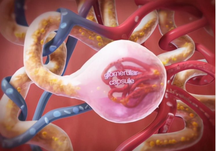 肾虚是什么原因引起的?一文全给你说清楚了,请做好收藏