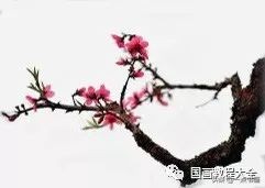 国画桃花颜色怎么调,徐湛教桃花国画画法