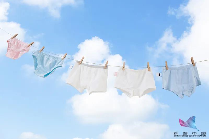 *裤内**总是脏脏的？三角or四角，哪个更好？终于清楚了…