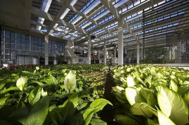 设计院出的蓝图什么样,建筑设计院盖楼照片