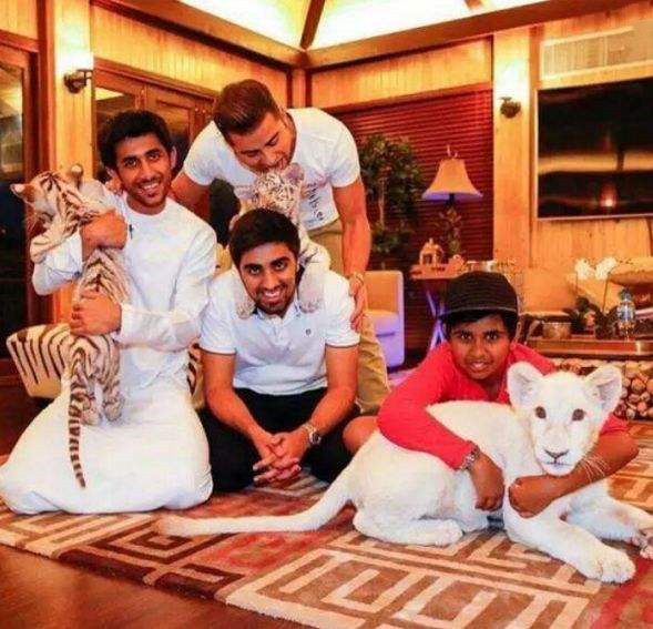 迪拜人为什么这么发达,迪拜为什么富裕起来了