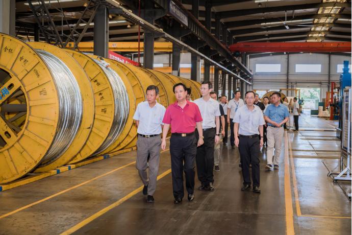 中国股市2023年最大黑马股哪只股,历史十大黑马股票一览表