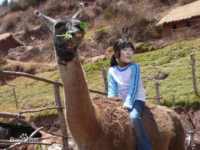 今天我们来聊聊英语的英文,今天我们来聊一聊