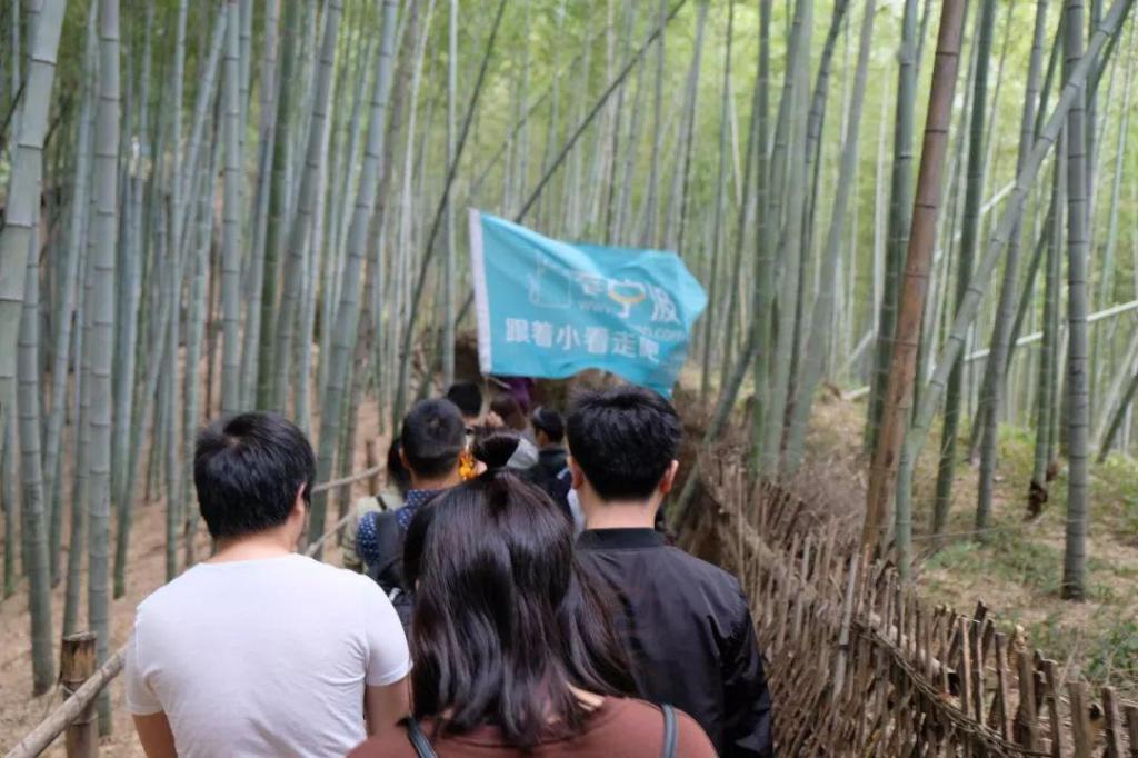 宁波夏日避暑胜地,宁波哪里避暑凉快