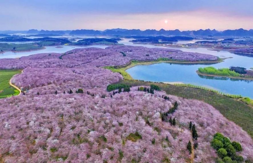 戴口罩的冬天太漫长，差点忘了中国的春天有多美