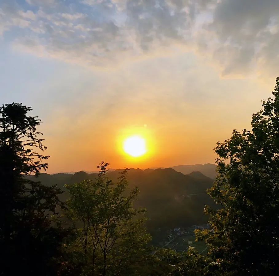 春日自然教育,春日茶语正能量