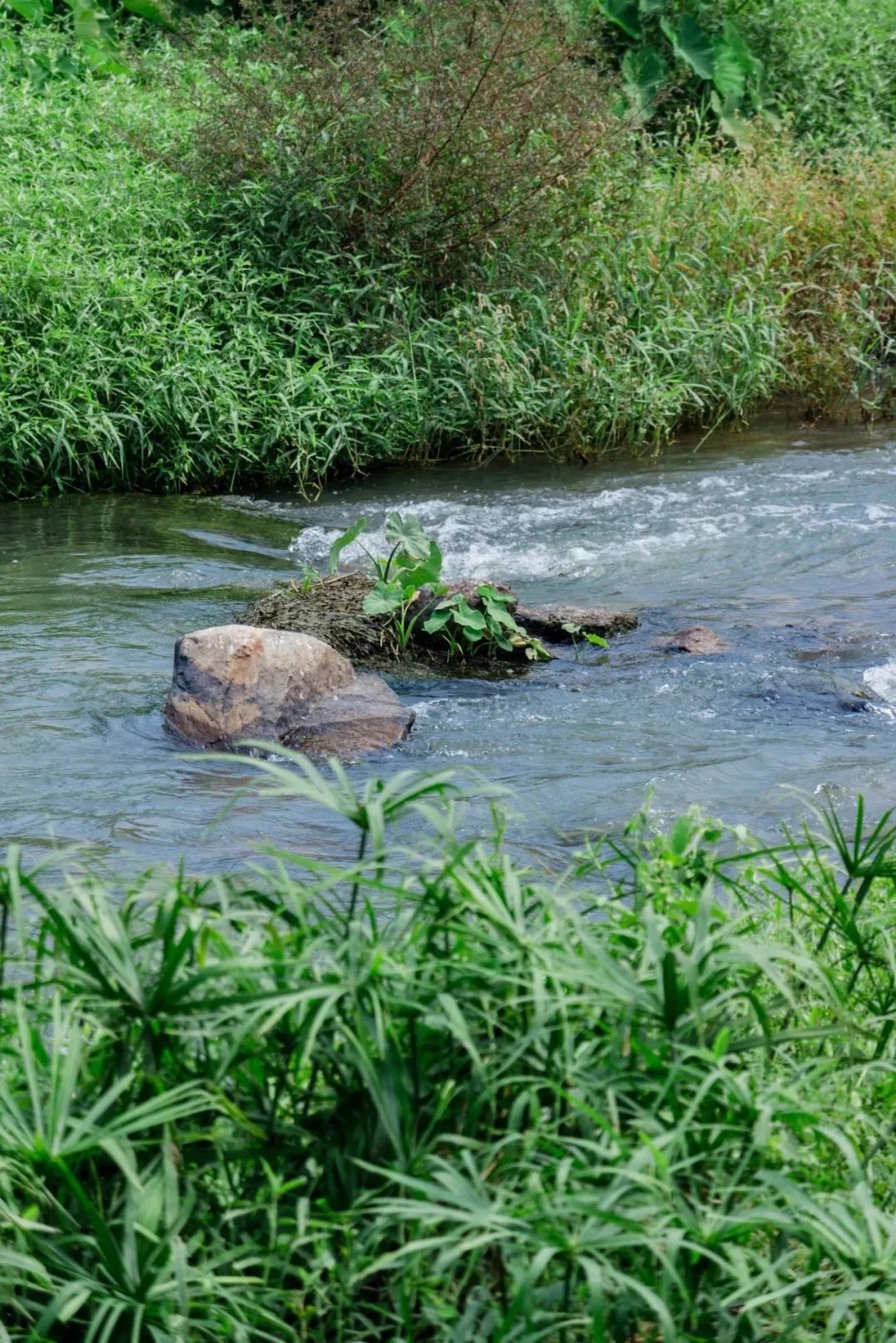 深圳1号线晚上好去处,坐地铁1号线玩遍深圳24个好地方